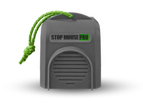 Stop Mouse PRO | USA